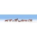 Noch 15752 - Goats 9/