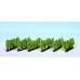 Noch 21540 - Vines 2.2cm 24/