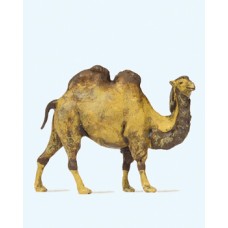 Preiser 29506 - Camel